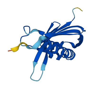 NXT1 3D structure