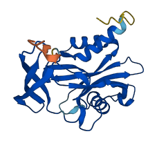 NUDT5 3D structure