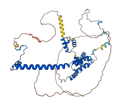 RCOR1 3D structure