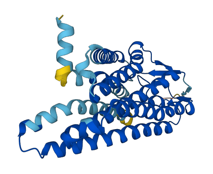 OR52A1 3D structure