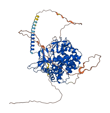 MAN1B1 3D structure