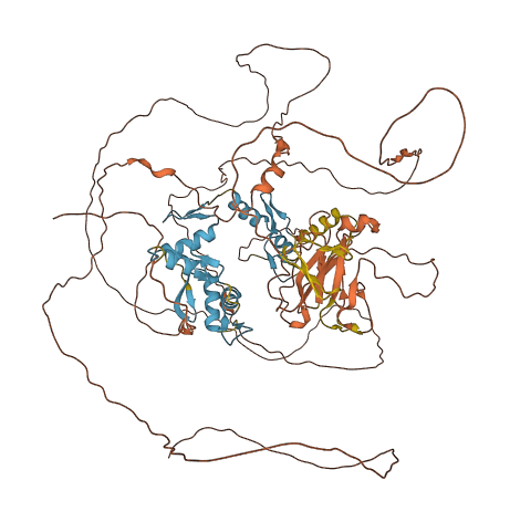 PRDM4 3D structure