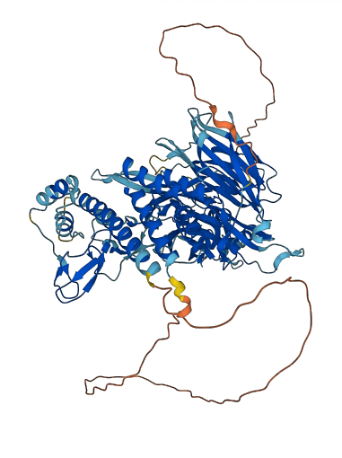 GTF3C4 3D structure
