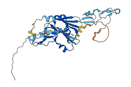 ITGB1BP2 3D structure