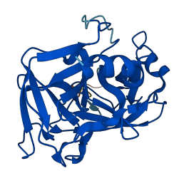 KLK9 3D structure