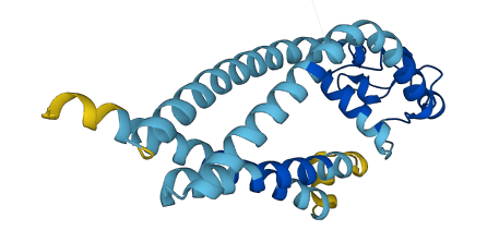 TSPAN16 3D structure