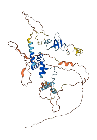 FBXO5 3D structure