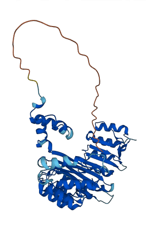 FBXL21P 3D structure