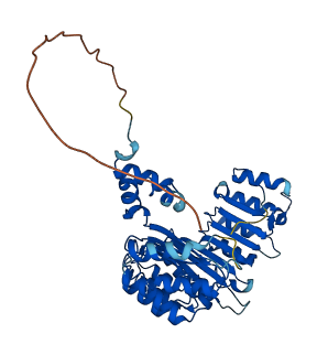 FBXL3 3D structure