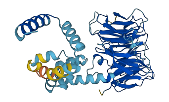 FBXW2 3D structure