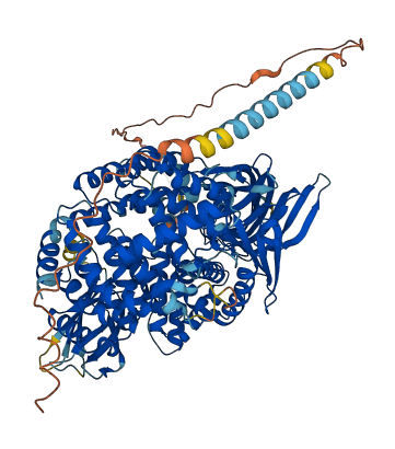 TRHDE 3D structure