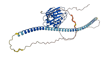 ANGPTL2 3D structure