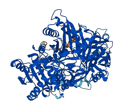 AGO2 3D structure