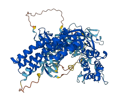 VAV3 3D structure