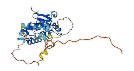 ELF5 3D structure