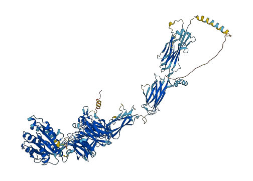 ITGA11 3D structure