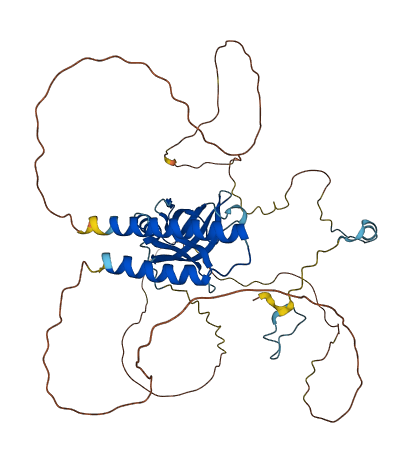 NUP50 3D structure