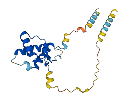 PRND 3D structure