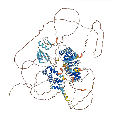ZHX1 3D structure