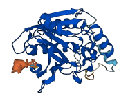 CES1P1 3D structure