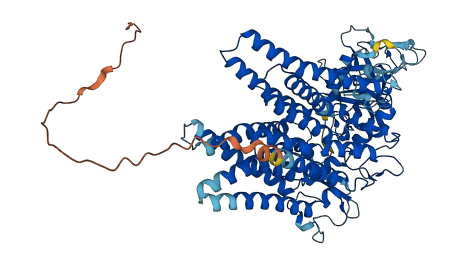 POMT2 3D structure