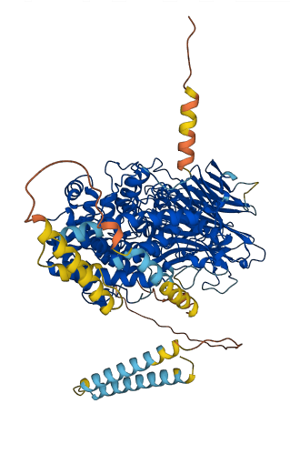 DSE 3D structure