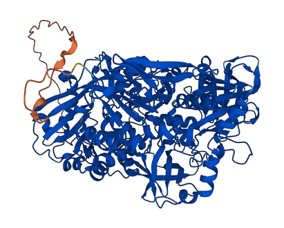 SARDH 3D structure