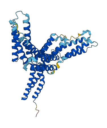 BAG5 3D structure