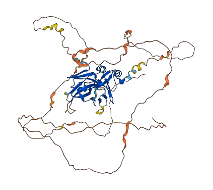 TBX21 3D structure