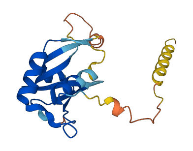 PLAAT4 3D structure