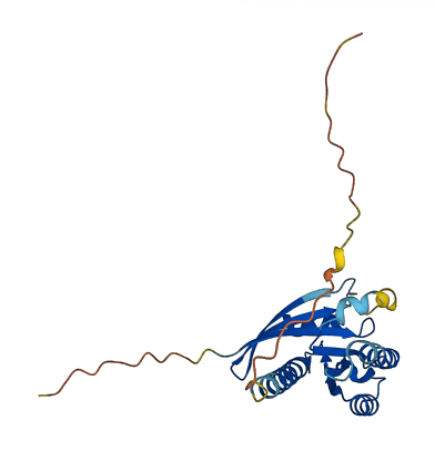 RAB21 3D structure