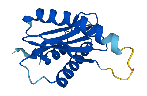 TRAPPC2L 3D structure