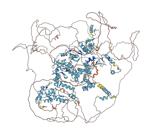 ZNF236 3D structure