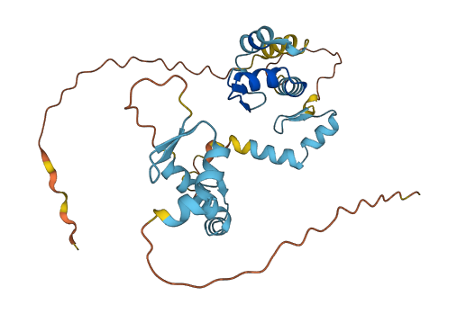 ZNF346 3D structure