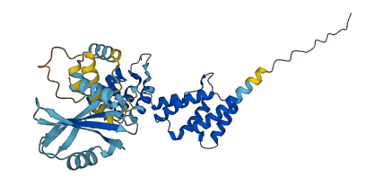 PNMA2 3D structure