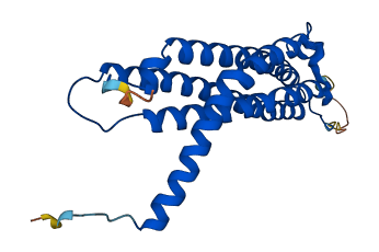 PSME2 3D structure