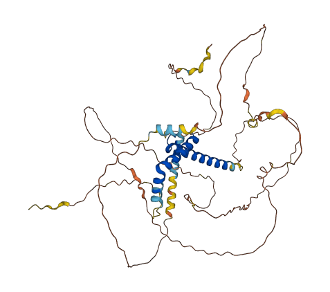 TCFL5 3D structure