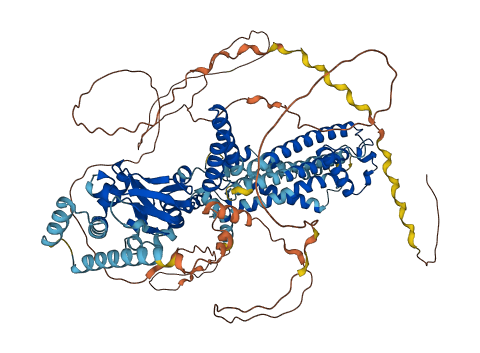 HCN2 3D structure