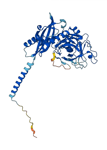 TMPRSS11E 3D structure