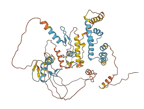 ZNF215 3D structure