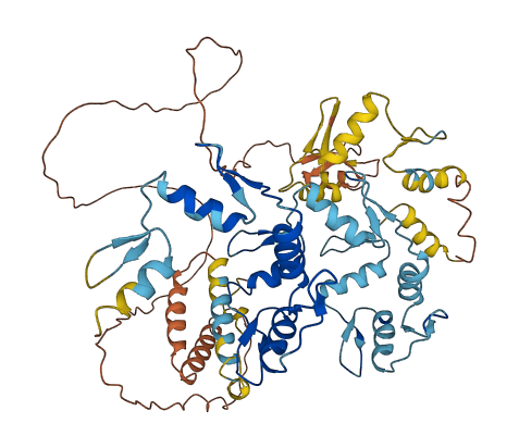 ZNF214 3D structure