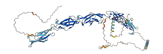CDH9 3D structure