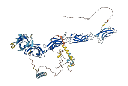 CDH7 3D structure