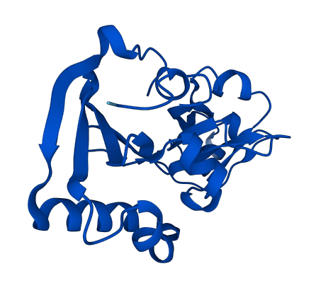 MCTS1 3D structure
