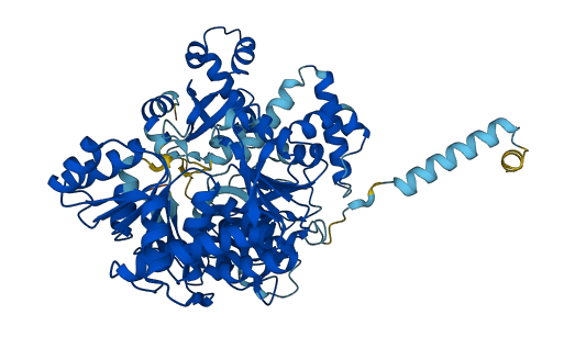 ACSL5 3D structure