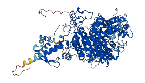 OGDHL 3D structure