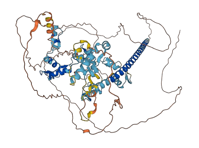 ZNF777 3D structure