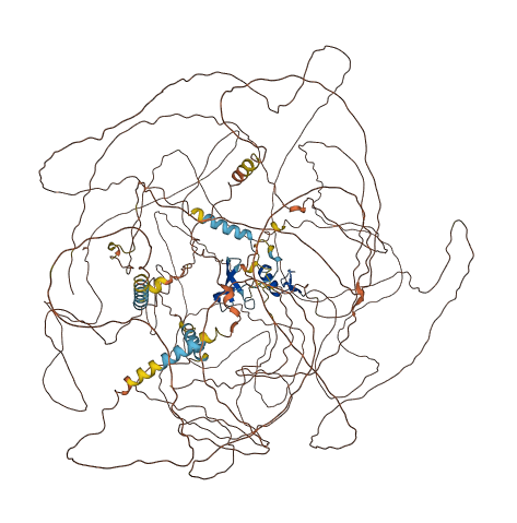 ZNF608 3D structure