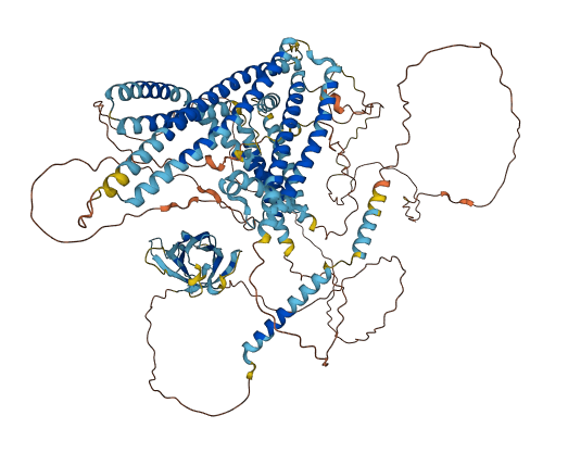 WWC3 3D structure
