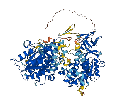 PALD1 3D structure